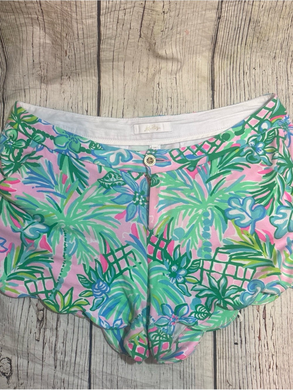 Lilly Pulitzer Callahan Shorts Catch Wave Tropical Pink Green Holy Frail Sz 12